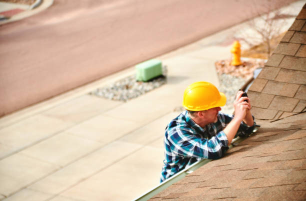 Best Roof Gutter Cleaning  in Rushford, MN