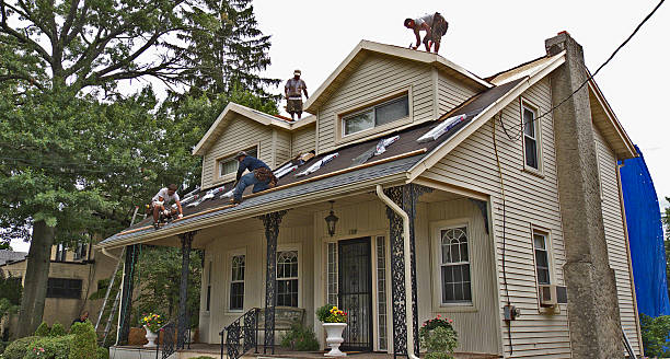 Best Gutter Installation and Roofing  in Rushford, MN